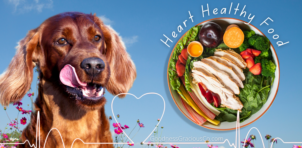 Dog heart food hotsell