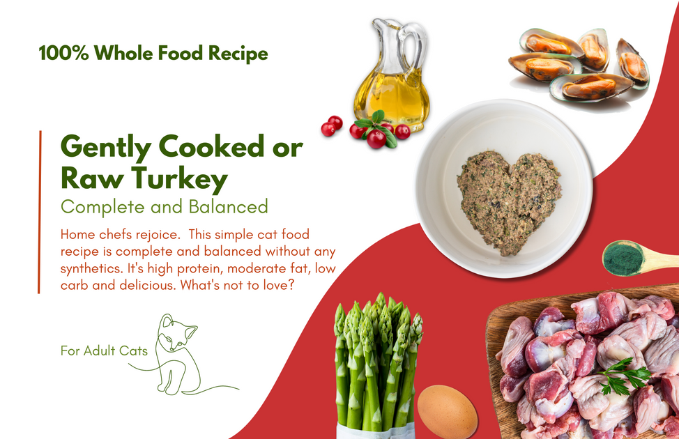 100 Whole Food Complete and Balanced Recipe For Cats Goodness