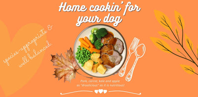 Pork, Kale, Carrot & Apple. Grain-Free, High-Protein Recipe Dogs Love