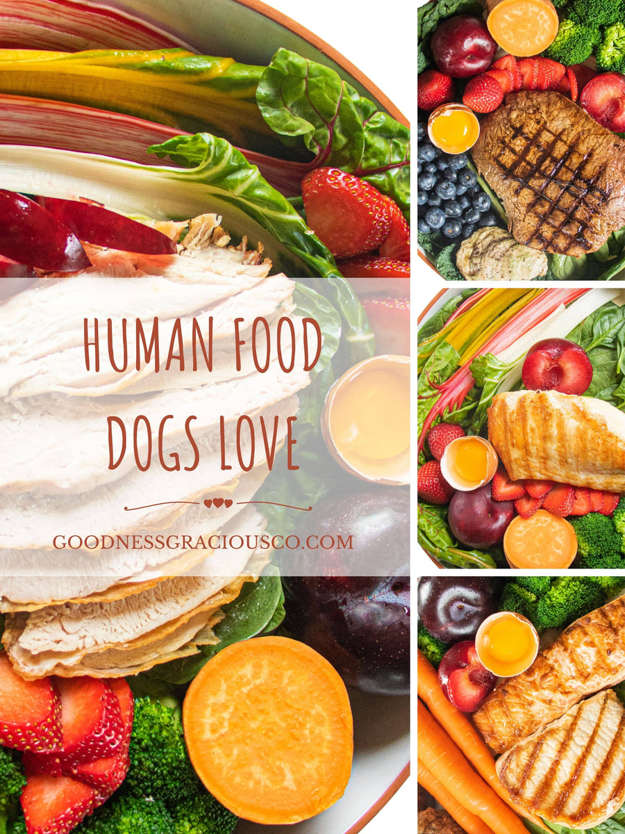 Human food dogs clearance love