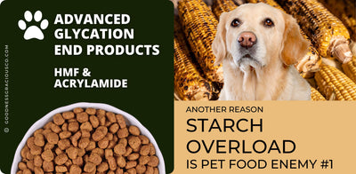 The Rage of AGE (Advanced Glycation End Products) and Your Pet's Fight Against It