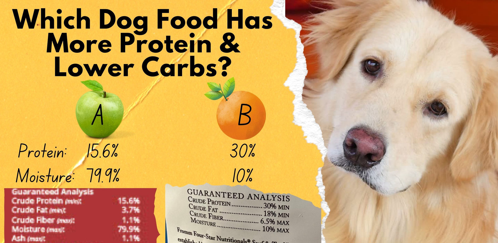How to Pick a High Protein Low Carb Moderate Fat Dog Food Goodness Gracious
