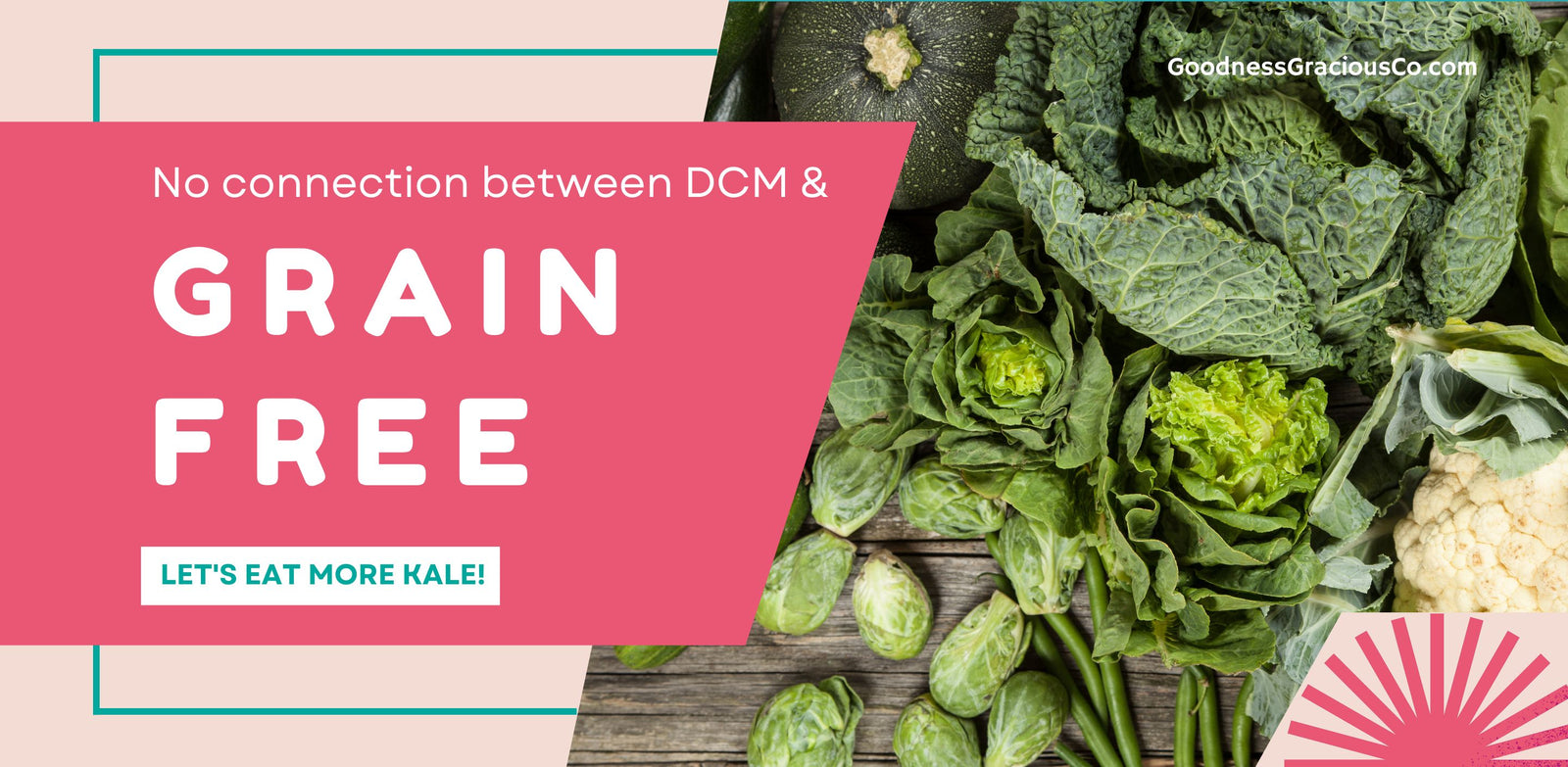 No Correlation Between Grain Free and DCM Found in Large Scale Study Goodness Gracious