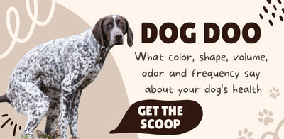 Deciphering Dog Poop Color, Form, Frequency, Volume and Odor