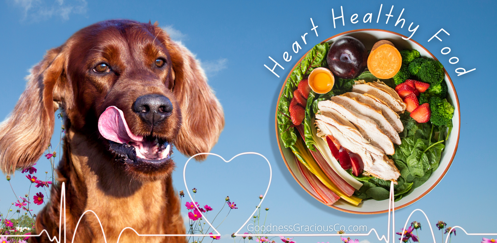 Low Sodium High Protein Whole Food Heart Healthy Diets for All Dogs Goodness Gracious