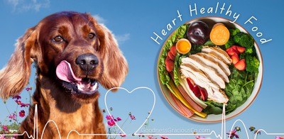 Heart Healthy, Reduced Sodium Whole Food Diets Are Great for All Dogs