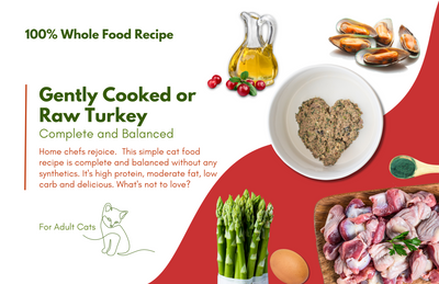 100% Whole Food, Complete and Balanced Recipe For Cats