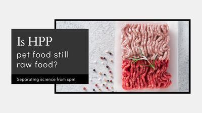 Is HPP Dog Food Still Raw Dog Food?