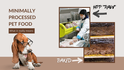 Minimally Processed Dog Food: What It Really Means and How to Choose the Best Option