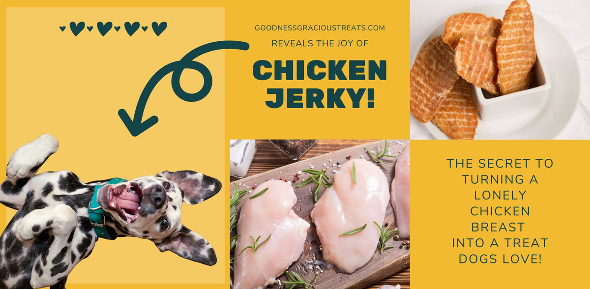 Recipe for SingleIngredient Chicken Jerky Treats for Dogs Goodness