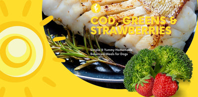 Cod, Seasonal Greens & Strawberries - Yummy Recipe For Dogs