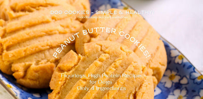 Flourless Peanut Butter Banana Cookies - A Recipe Dogs Love