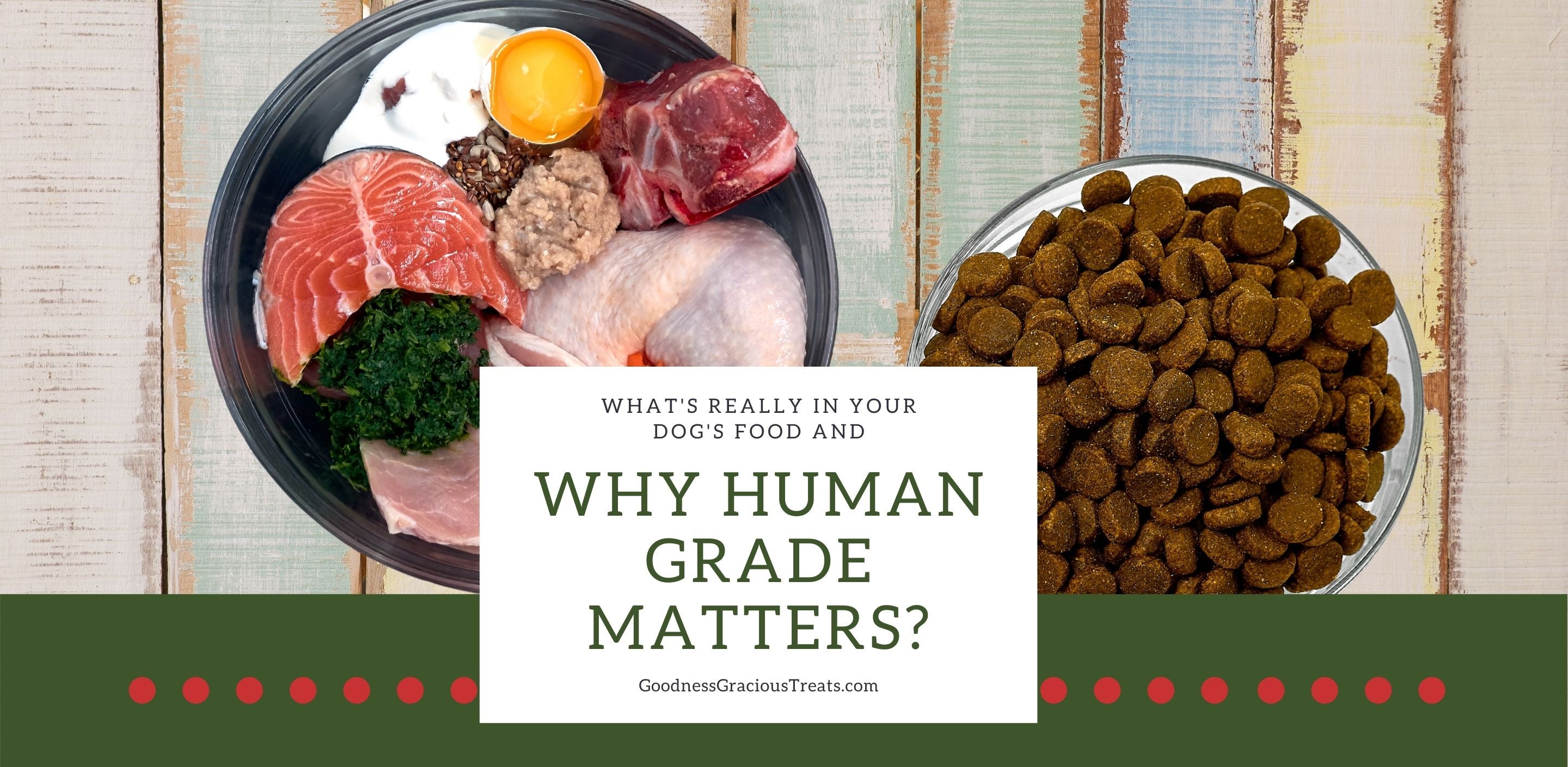 What's Human Grade? It's The Greatest Dog Food Truth To Know – Goodness  Gracious