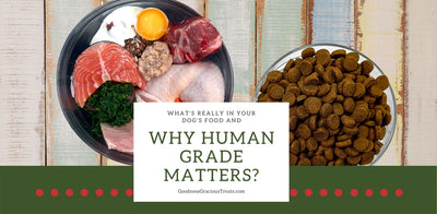 What's Human Grade? It's The Greatest Dog Food Truth To Know