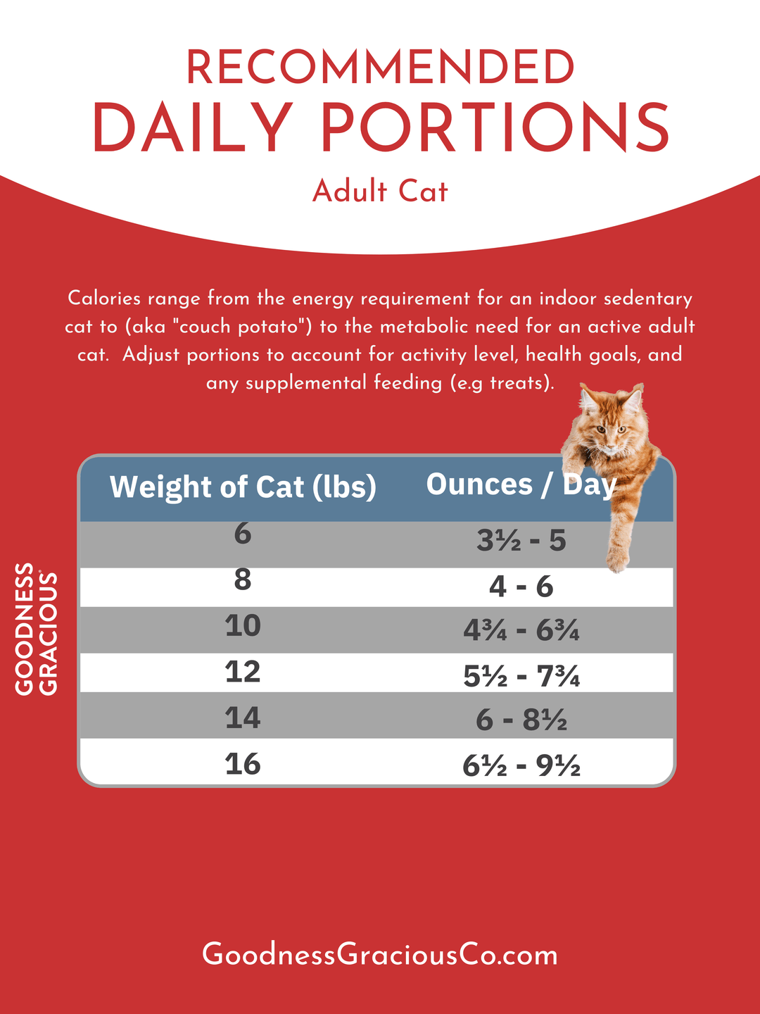 How Much Food Does a Cat Need Per Day: Ultimate Feeding Guide