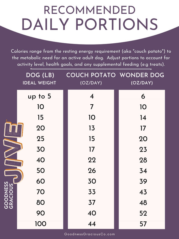 Jive - Brain Health Recipe for Dogs