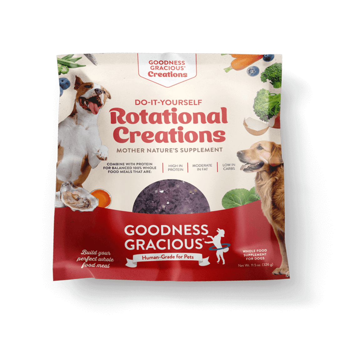 DIY Rotational Creations for Dogs – Goodness Gracious