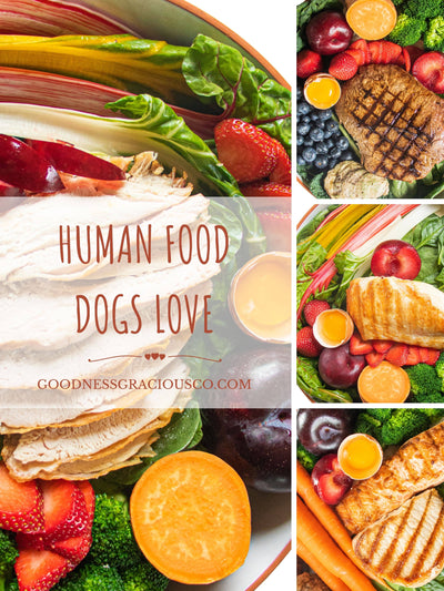 Build A Sample Box Of 4 Packs Of Goodness Gracious Human Grade Gently Cooked Food For Dogs From 4 Varieties Each In 1 Pound Packs