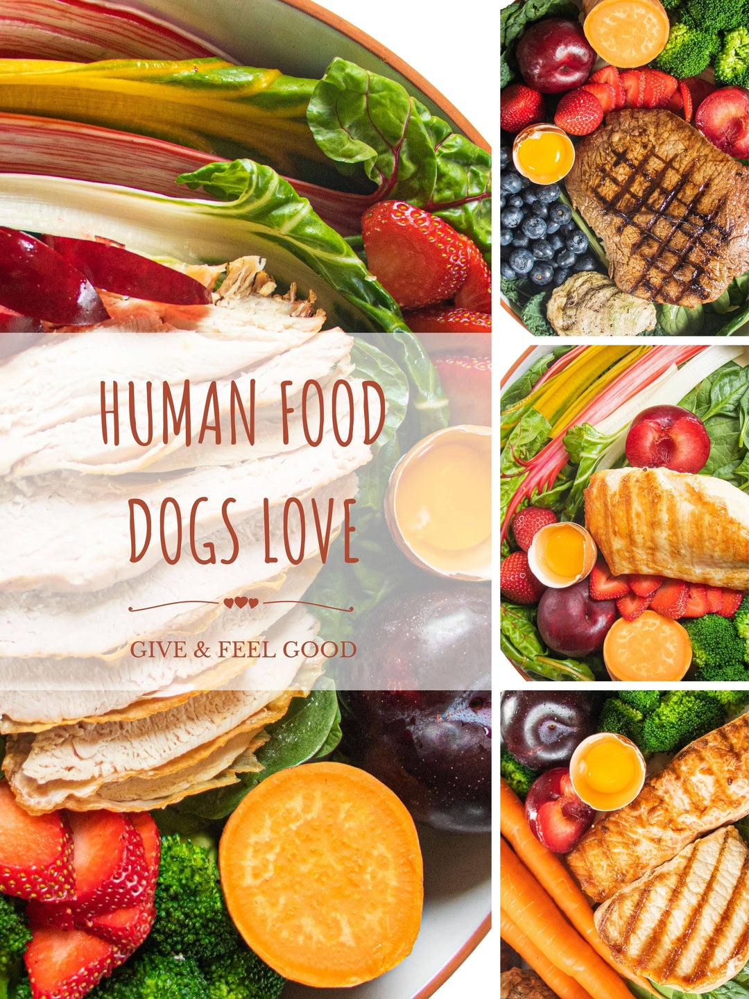 Healthy human snacks for dogs hotsell