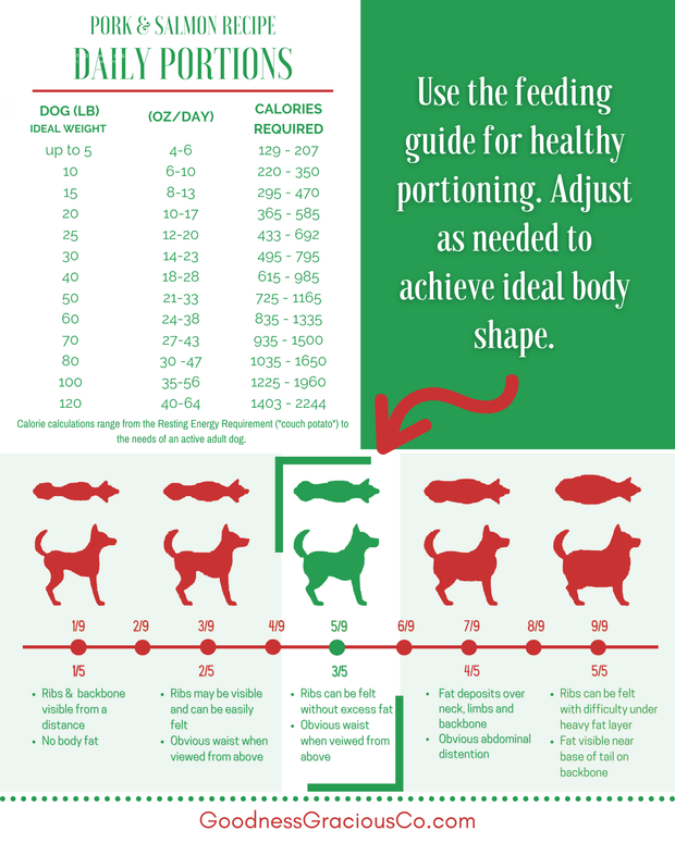 Canine Body Condition Score Chart And Calorie Feeding Guide For Goodness Gracious Human Grade Gently Cooked Beef Recipe
