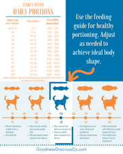Canine Body Condition Score Chart And Calorie Feeding Guide For Goodness Gracious Human Grade Gently Cooked Beef Recipe