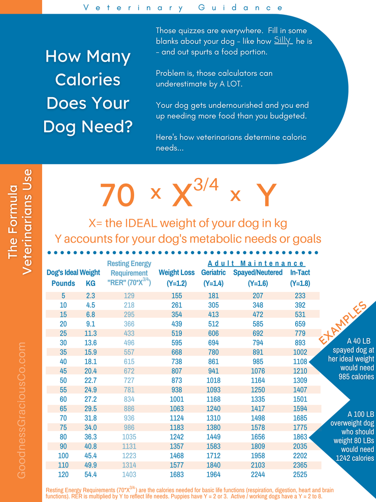 Look Up Your Dogs Daily Caloric Needs On This Chart And Learn The Veterinarian Formula For Calculating Energy Requirements
